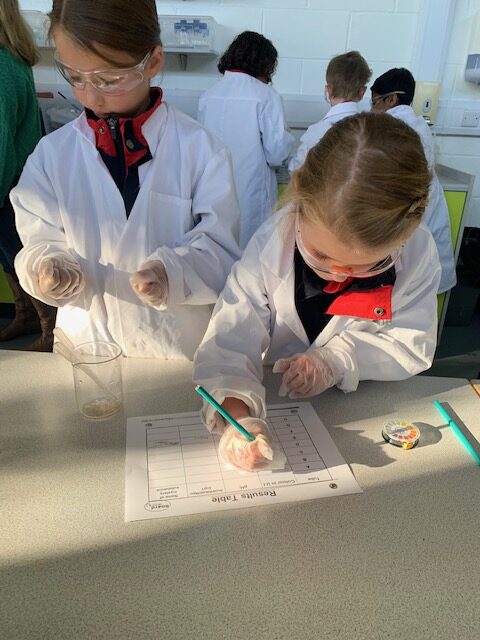 Y5 Chemistry, Copthill School