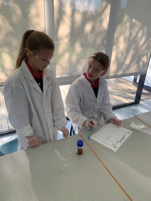 Y5 Chemistry, Copthill School