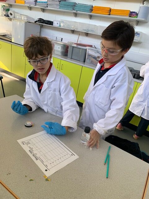 Y5 Chemistry, Copthill School