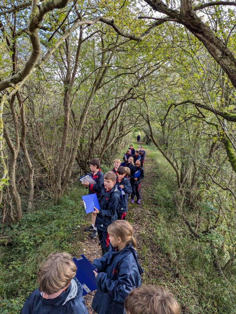 5W explore the old canal system, Copthill School