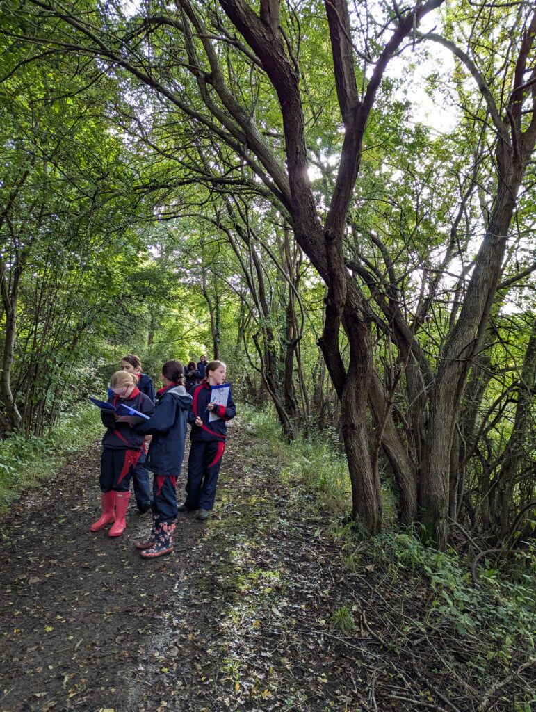 5W explore the old canal system, Copthill School