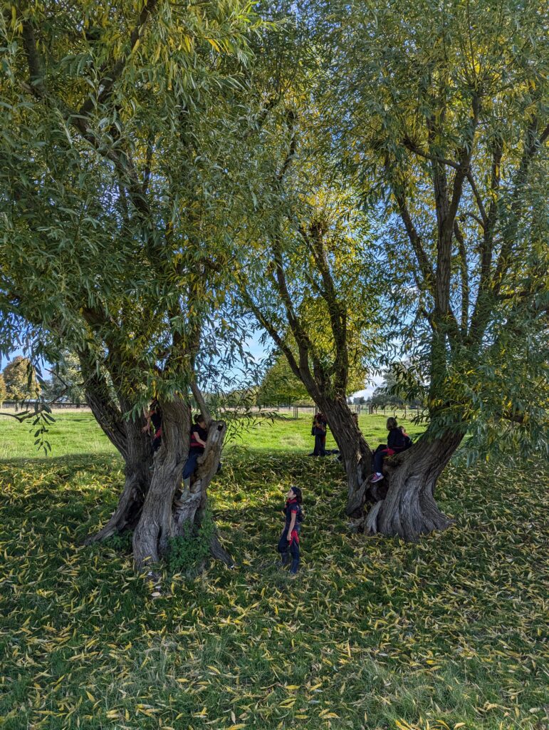 5C GOAL explore the old canal system, Copthill School