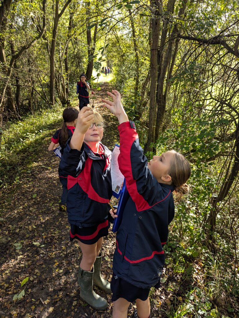 5C GOAL explore the old canal system, Copthill School