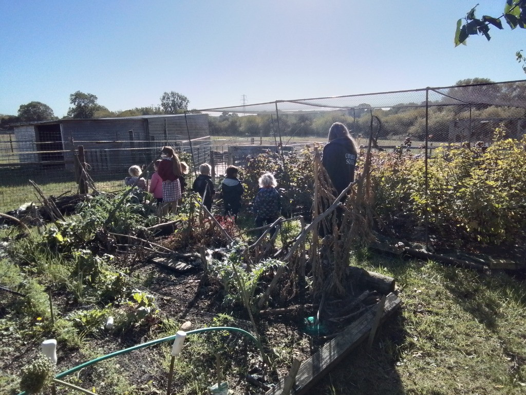 Checking on the Vegetable Patch, Copthill School