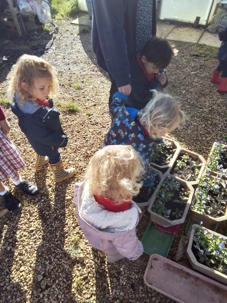 Checking on the Vegetable Patch, Copthill School