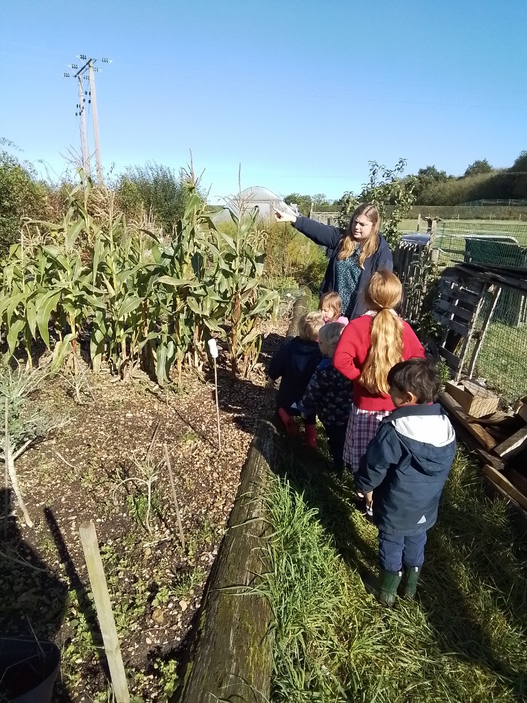 Checking on the Vegetable Patch, Copthill School