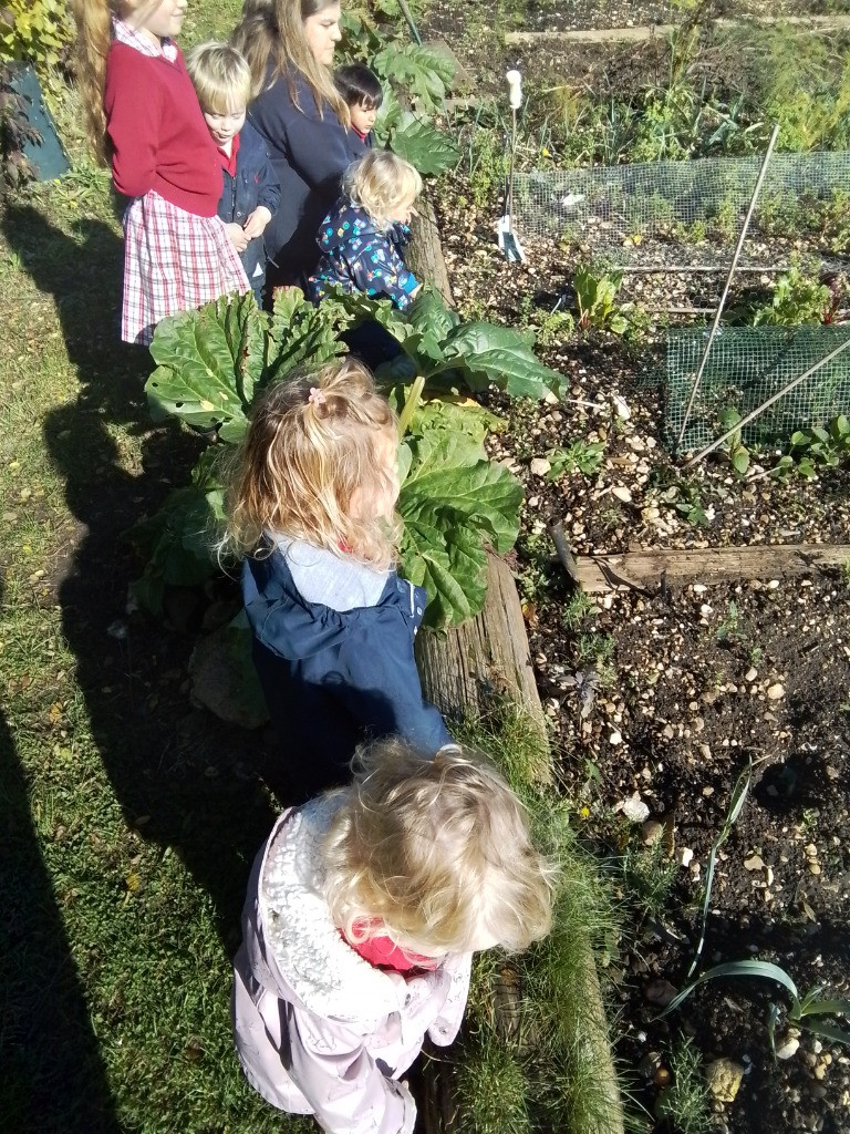 Checking on the Vegetable Patch, Copthill School