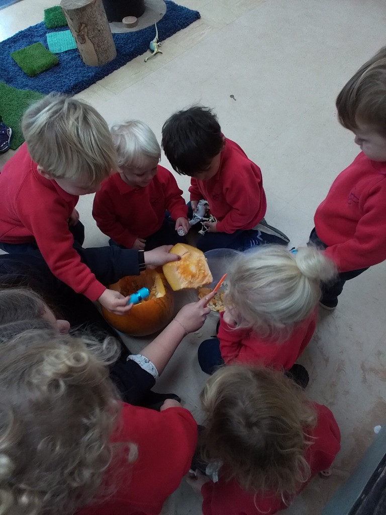 Exploring Pumpkins, Copthill School