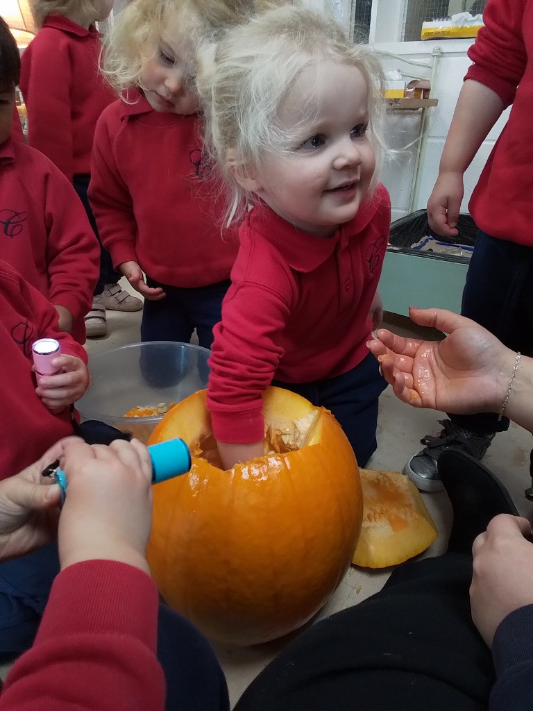 Exploring Pumpkins, Copthill School