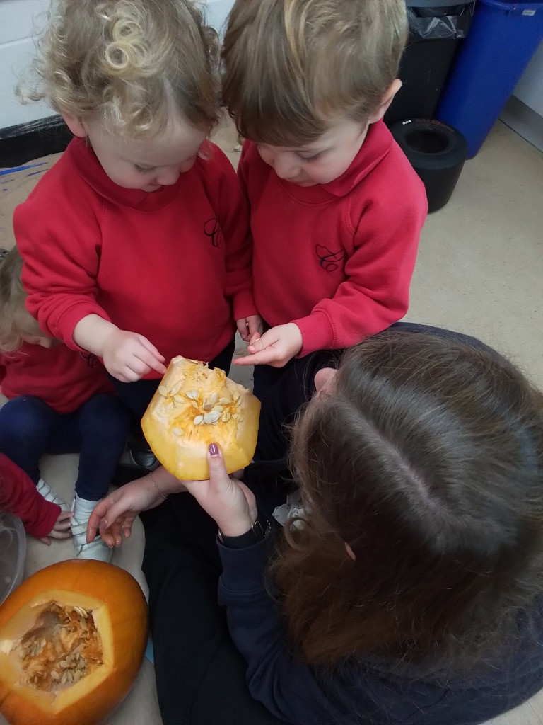 Exploring Pumpkins, Copthill School