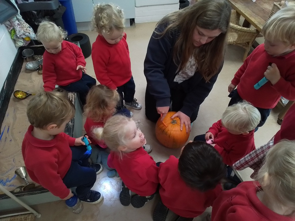 Exploring Pumpkins, Copthill School