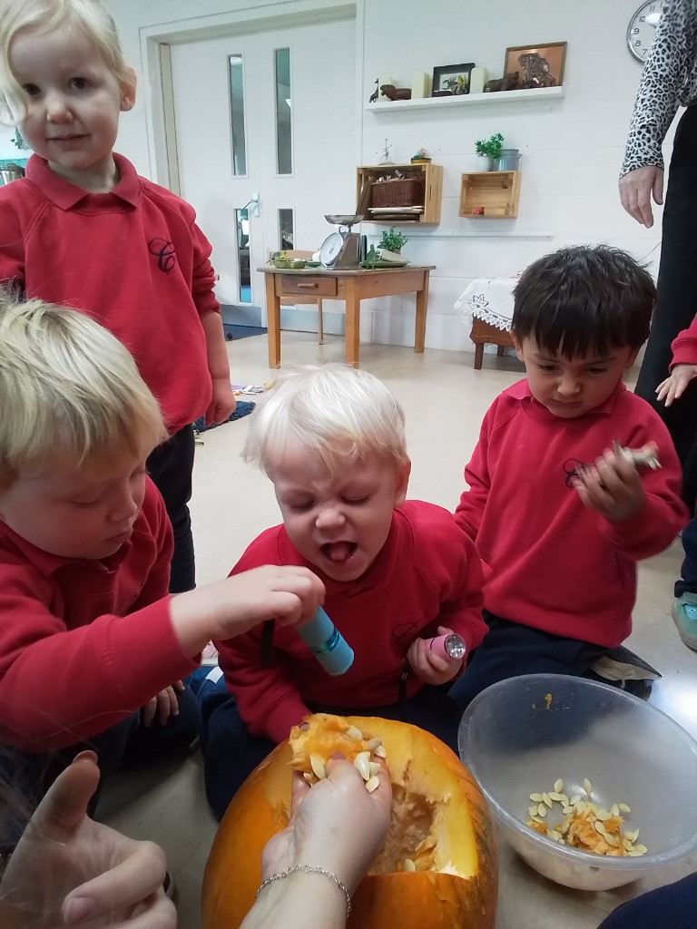 Exploring Pumpkins, Copthill School