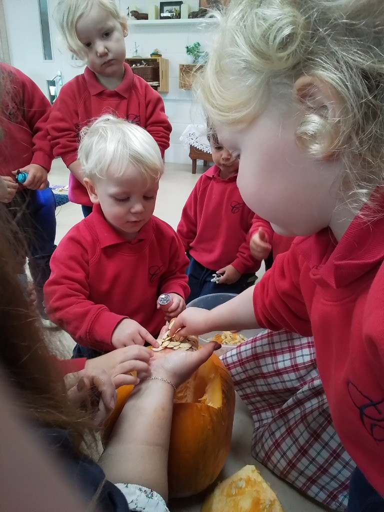 Exploring Pumpkins, Copthill School