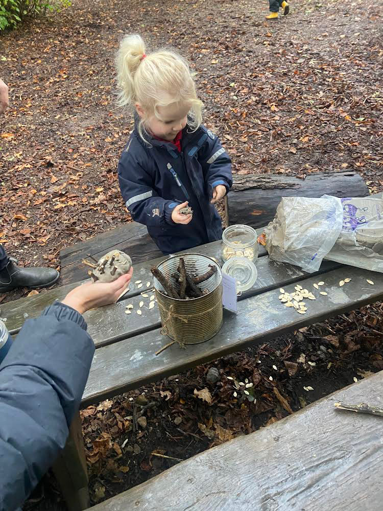 Harvest In The Woods, Copthill School