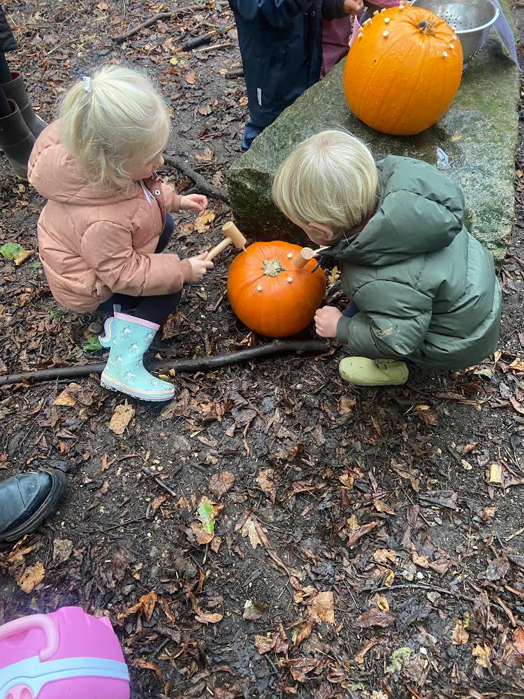 Harvest In The Woods, Copthill School