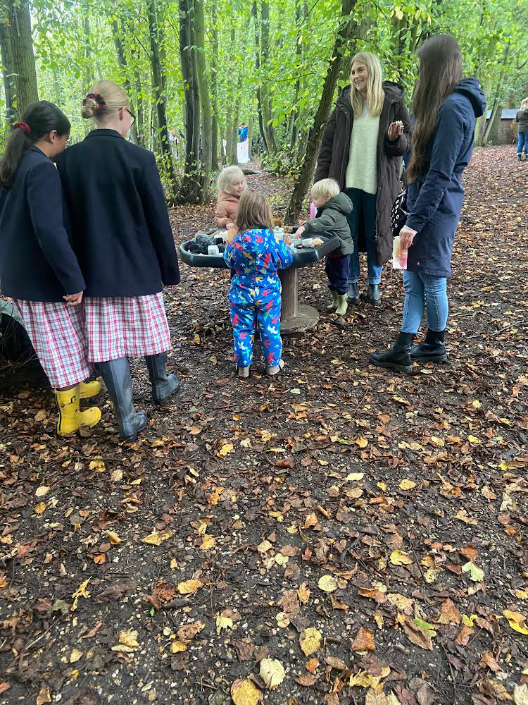 Harvest In The Woods, Copthill School