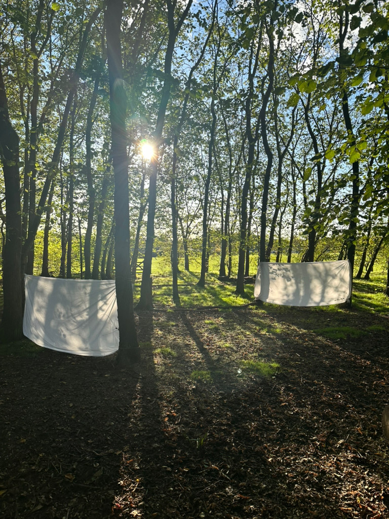 Harvest In The Woods, Copthill School