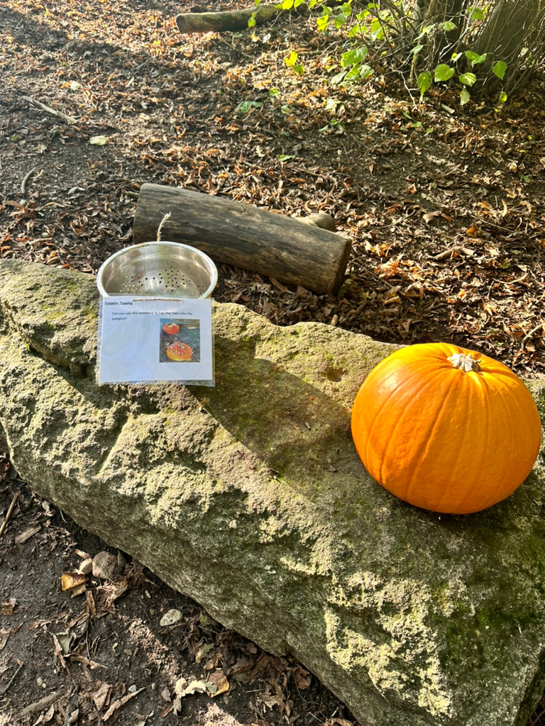 Harvest In The Woods, Copthill School