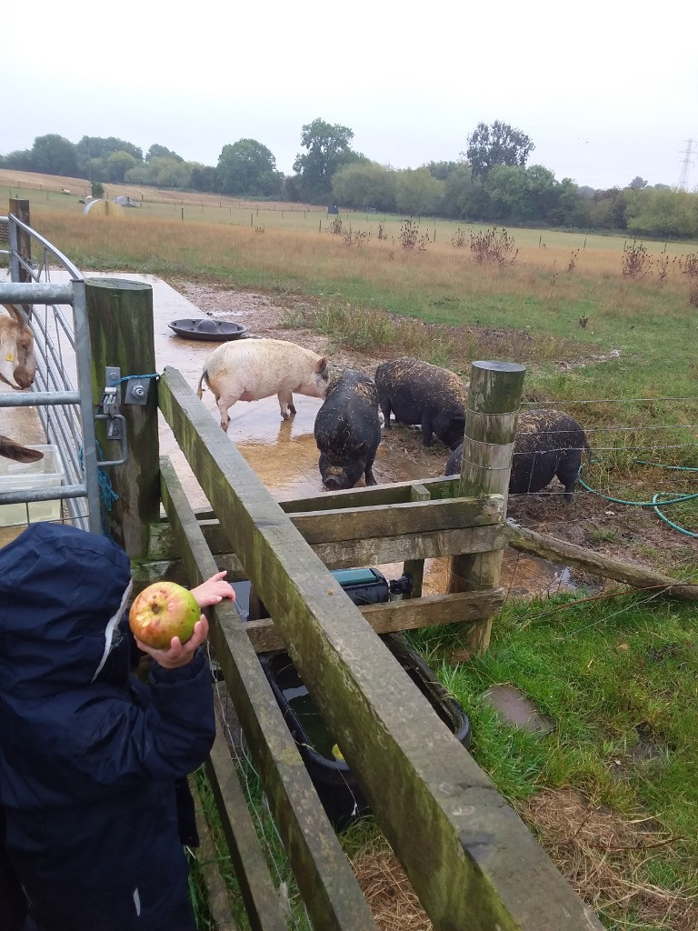 Who’s afraid of the Big Bad Wolf?, Copthill School