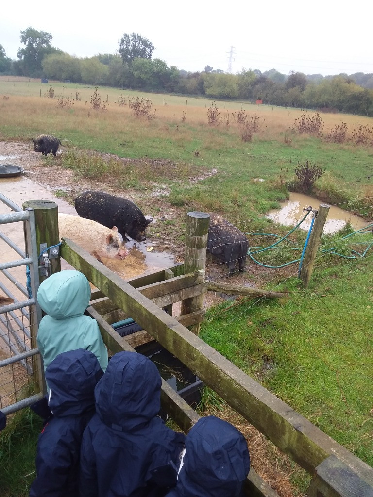 Who’s afraid of the Big Bad Wolf?, Copthill School