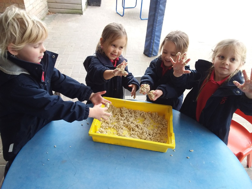 Bears and Detectives assemble!, Copthill School