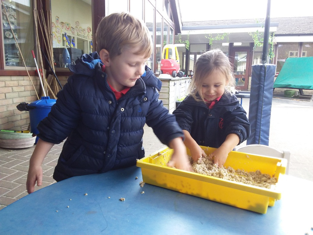 Bears and Detectives assemble!, Copthill School