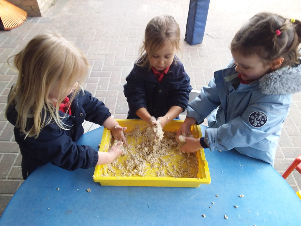 Bears and Detectives assemble!, Copthill School