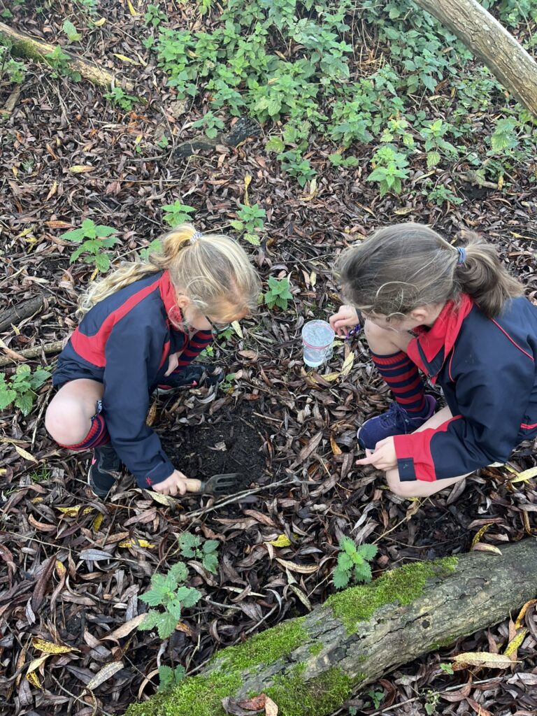 Evaporation and Condensation, Copthill School