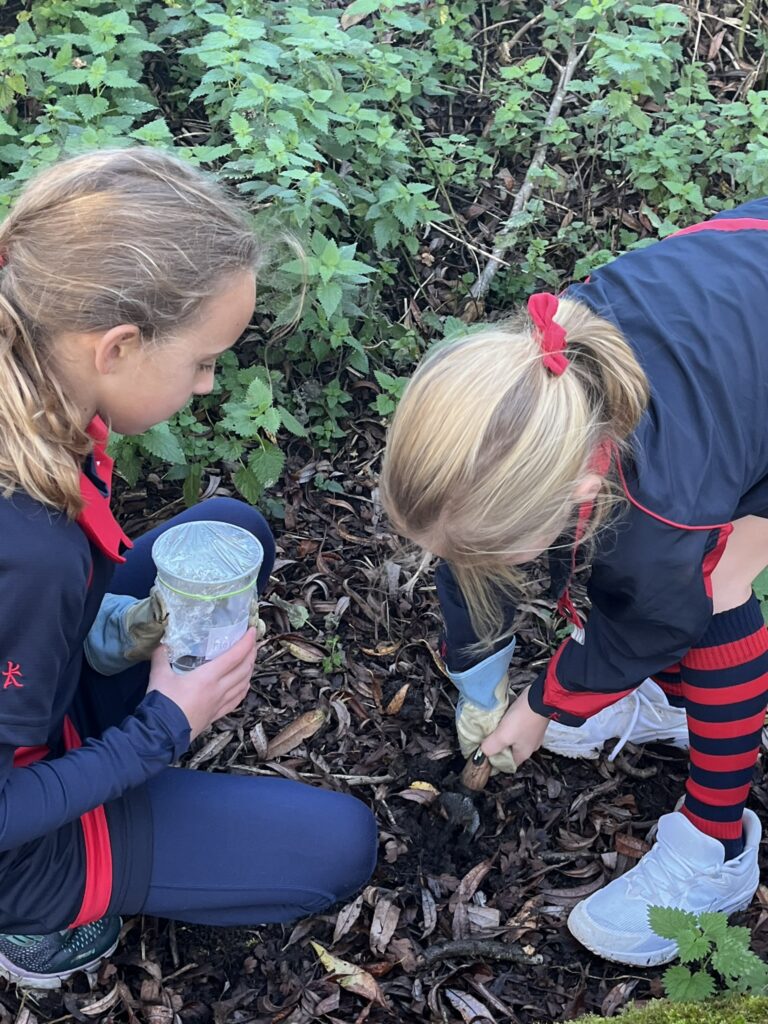 Evaporation and Condensation, Copthill School