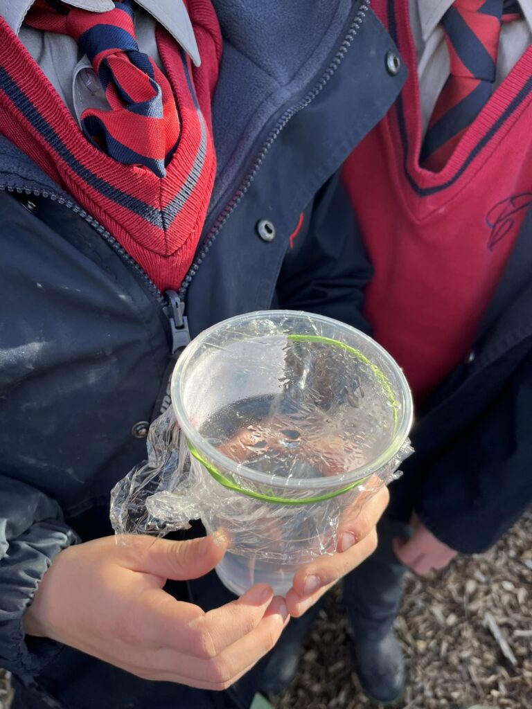 Evaporation and Condensation, Copthill School