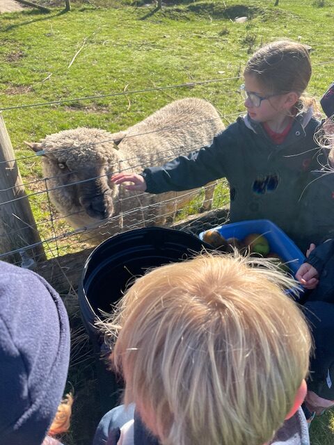 Polar Bear, Copthill School