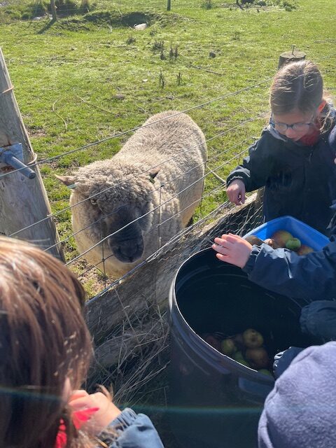 Polar Bear, Copthill School