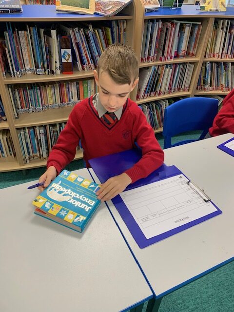 Investigating information texts in our beautiful library, Copthill School