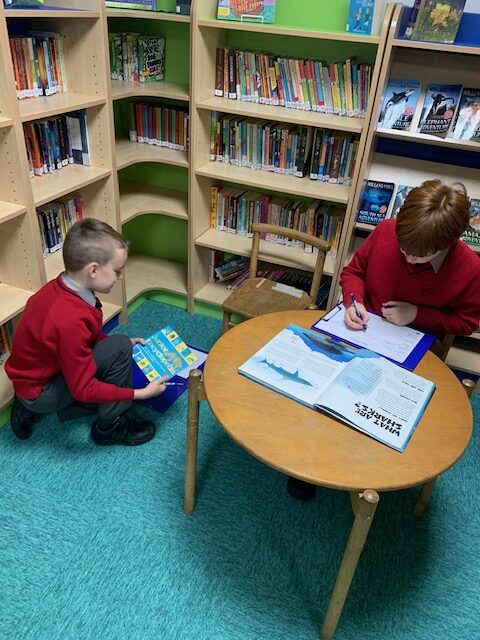 Investigating information texts in our beautiful library, Copthill School