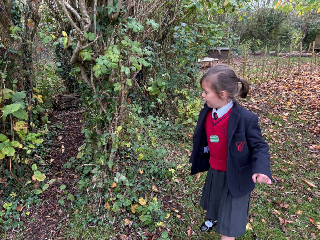 Native American Tipi building&#8230;, Copthill School