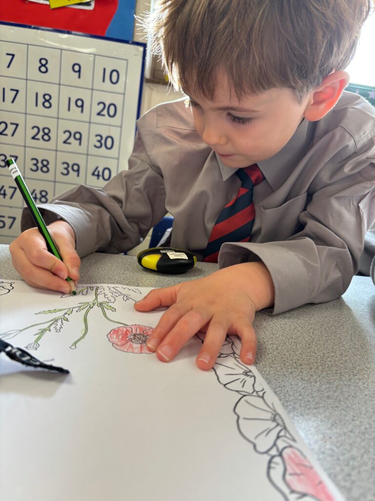 Poppies to remember&#8230;, Copthill School