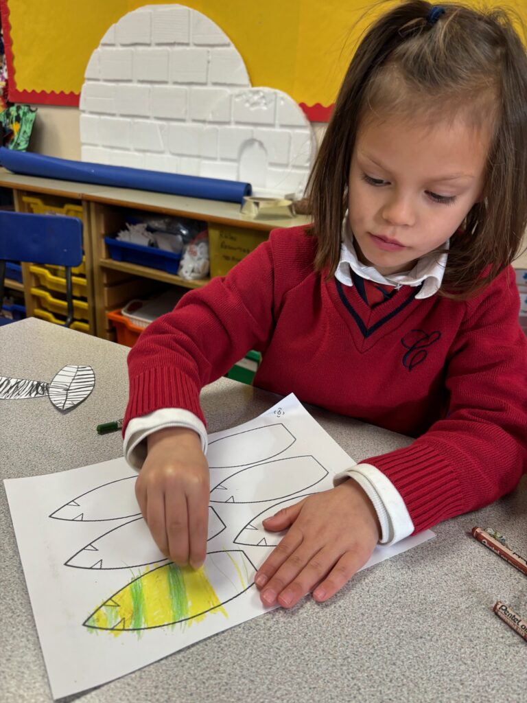 Native American Indian Headdress Art, Copthill School