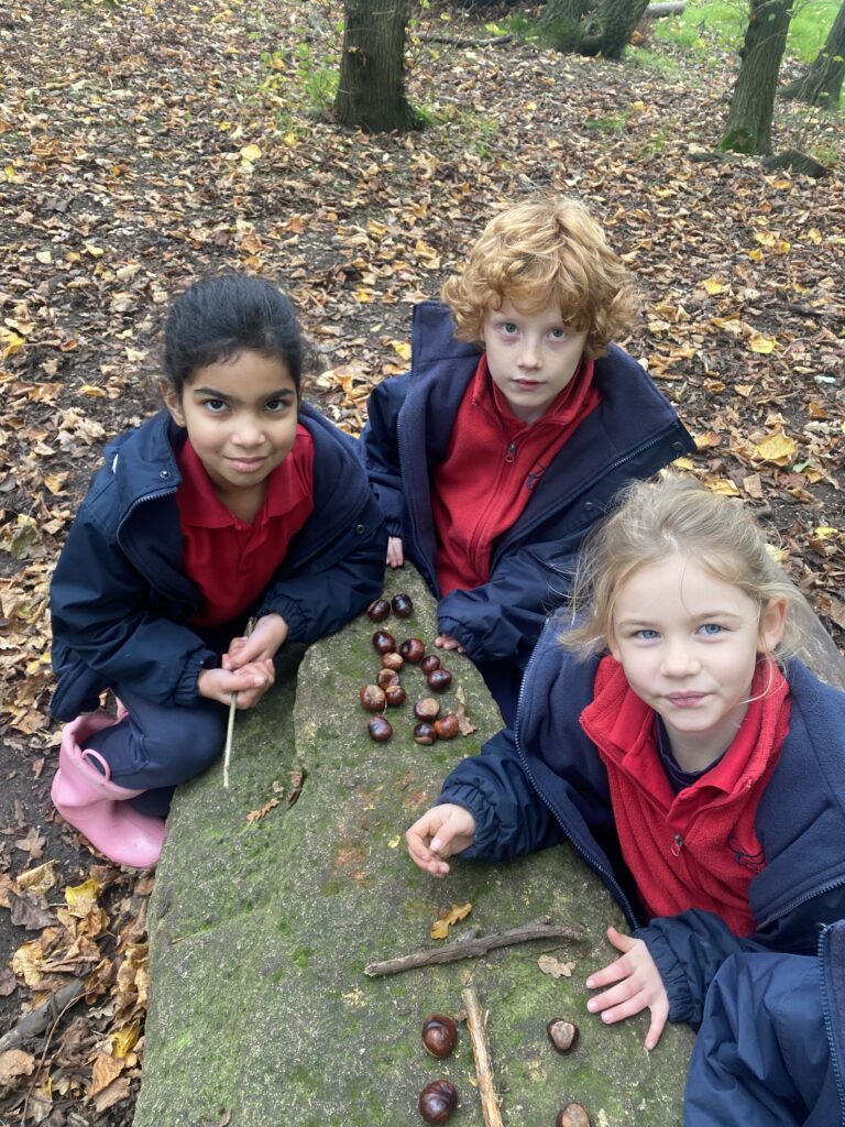 Hooray for Arrays!, Copthill School