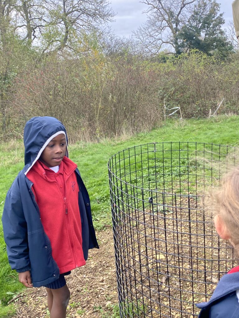 Hooray for Arrays!, Copthill School