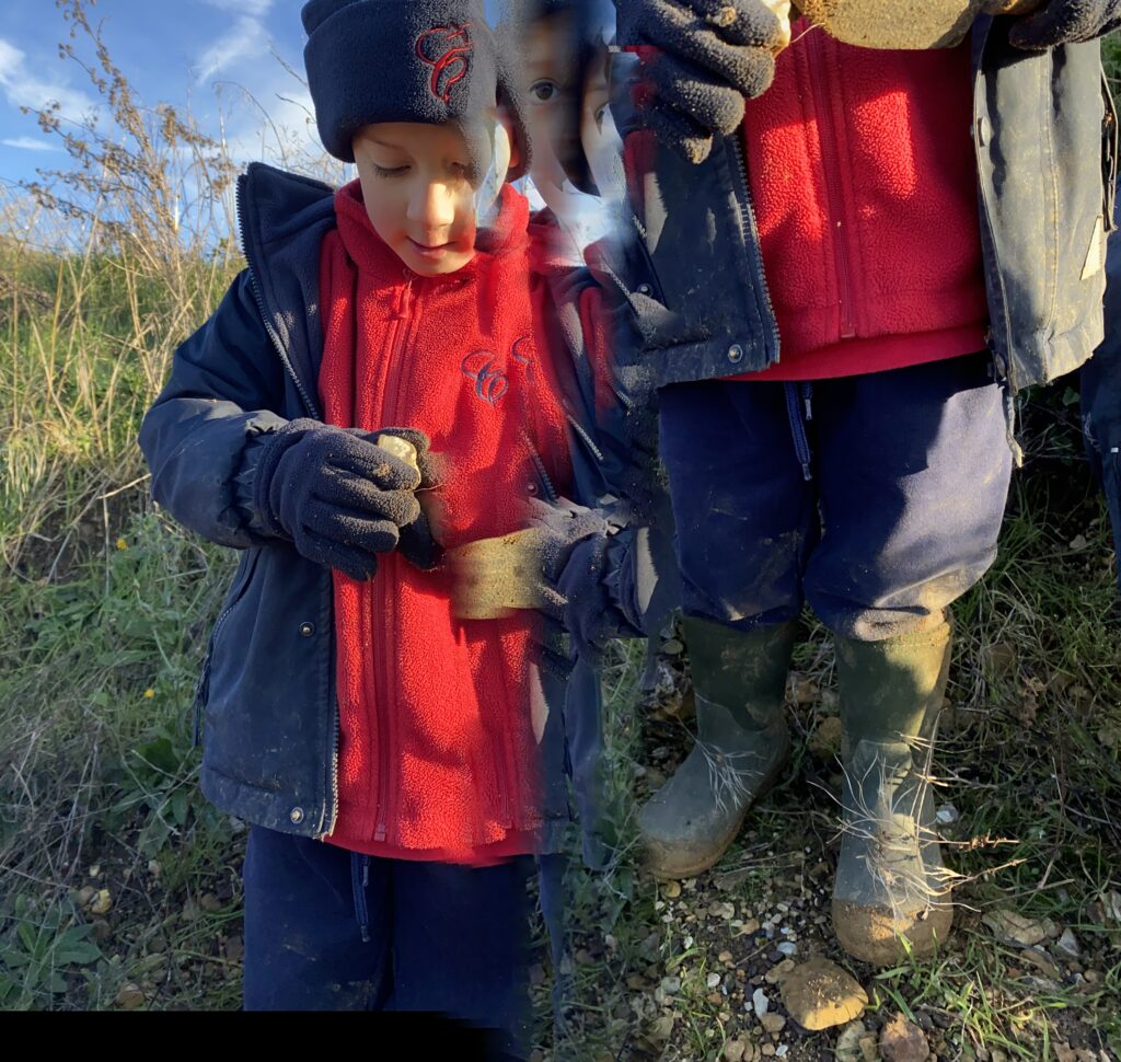 We are Palaeontologists!, Copthill School