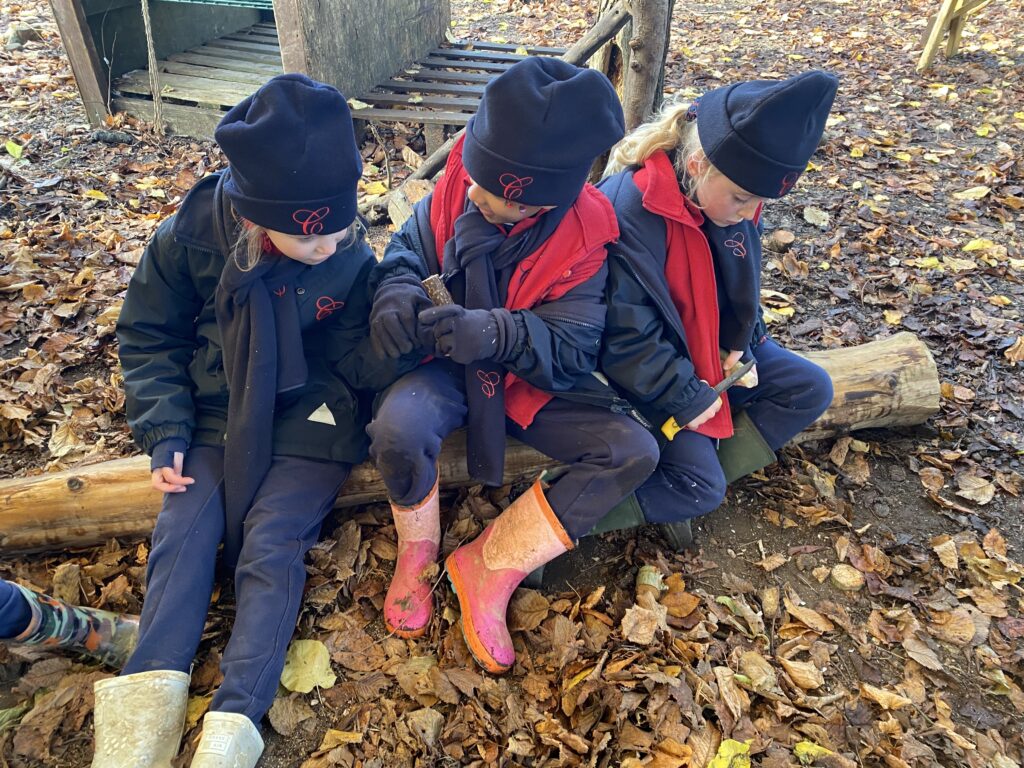 Joyous Gonks!, Copthill School