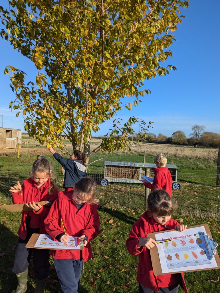 Out and about!, Copthill School