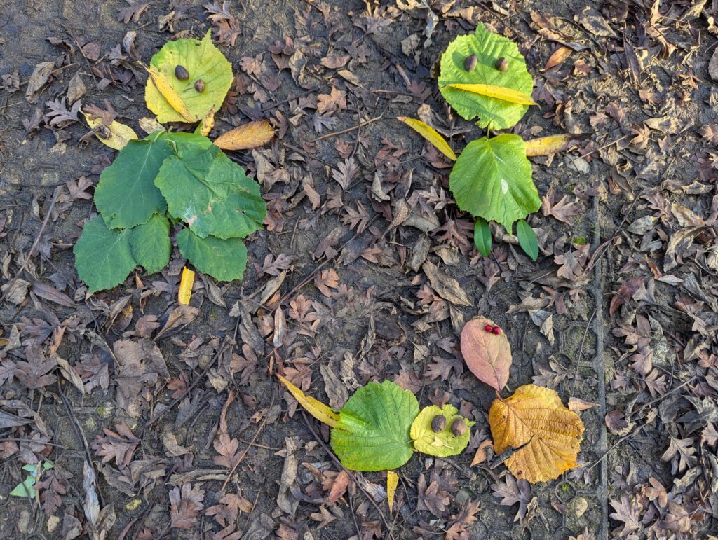 Out and about!, Copthill School