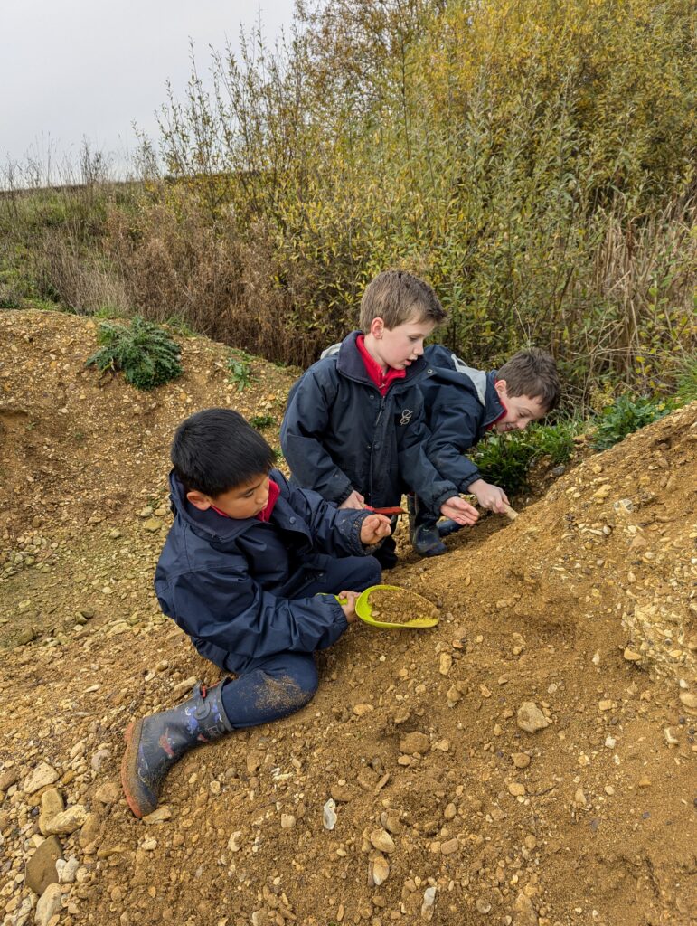 We are Palaeontologists!, Copthill School