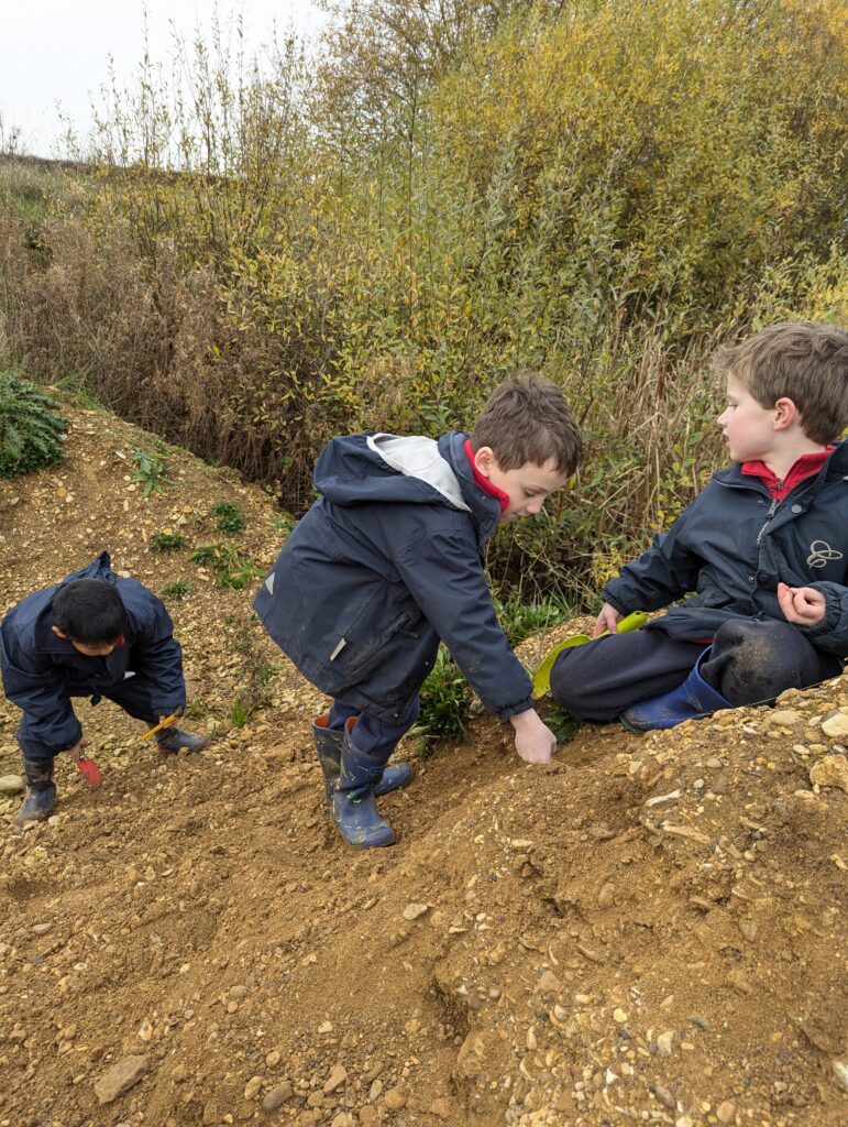 We are Palaeontologists!, Copthill School