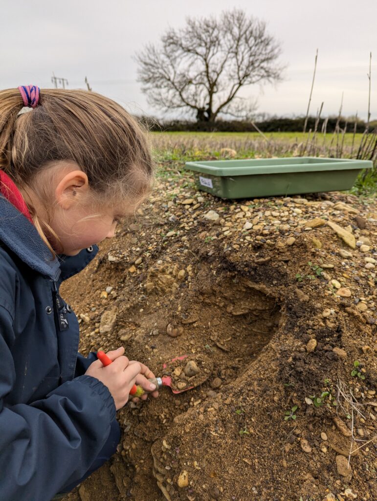 We are Palaeontologists!, Copthill School