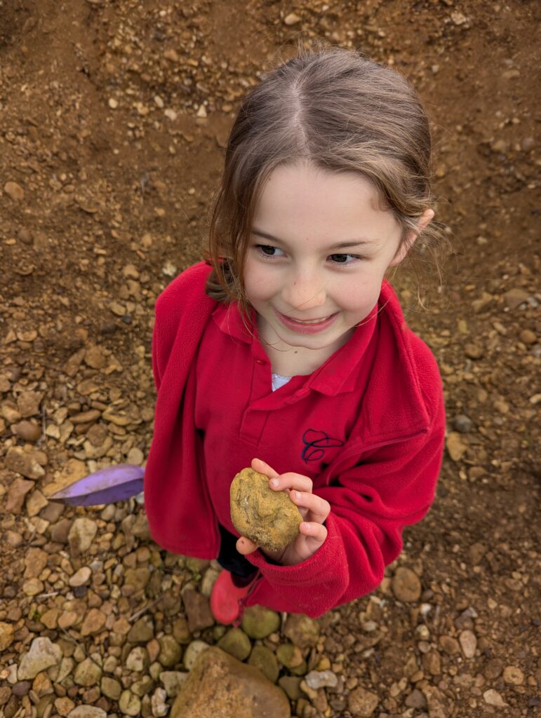 We are Palaeontologists!, Copthill School