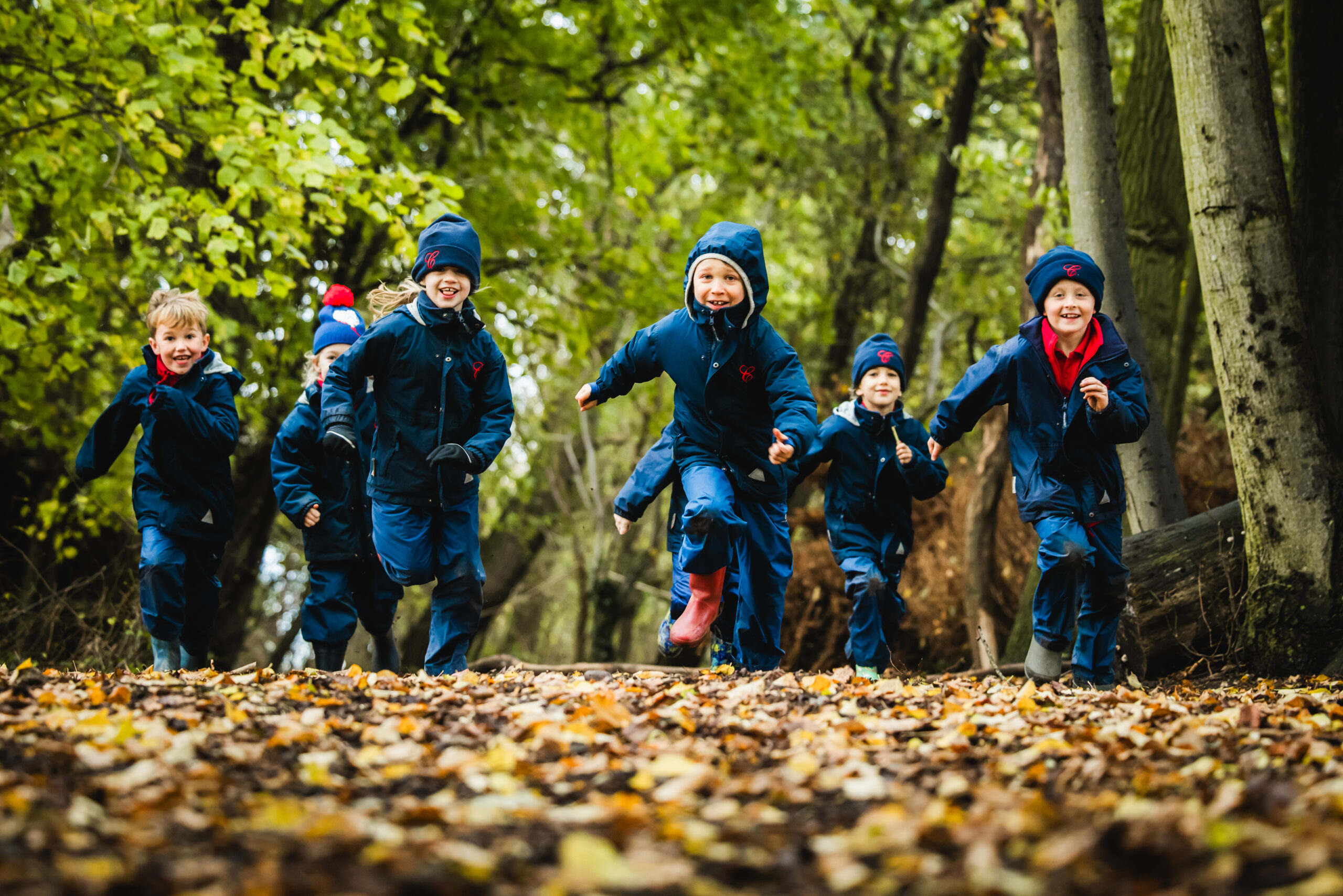 The Forest School, Copthill School