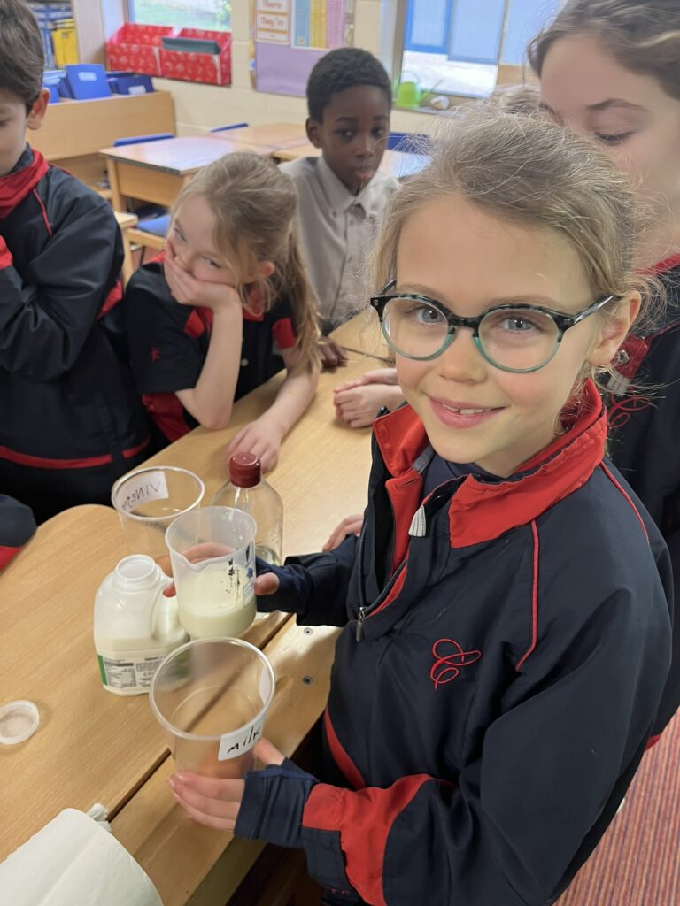 Another eggciting week in Year 4 where science investeggations are cracking on!, Copthill School