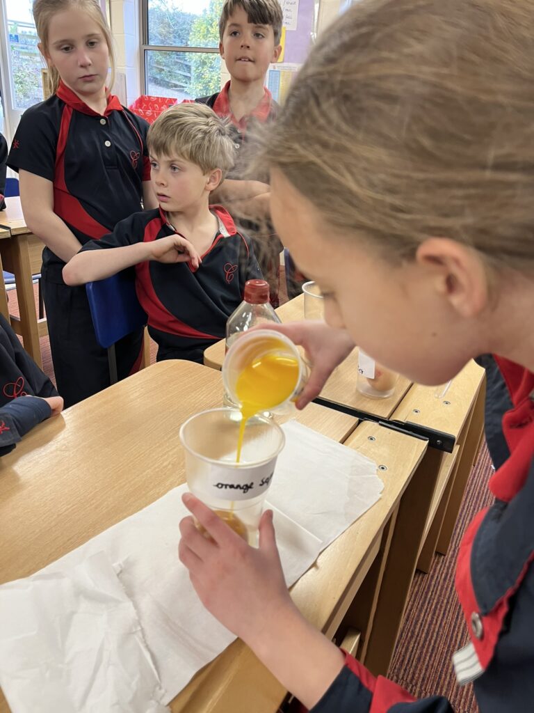 Another eggciting week in Year 4 where science investeggations are cracking on!, Copthill School